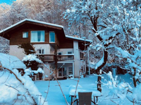 Chalet Happy Family, secluded location, 1000 sqm garden, mountainview, BBQ&bikes&sunbeds for free, up to 14p